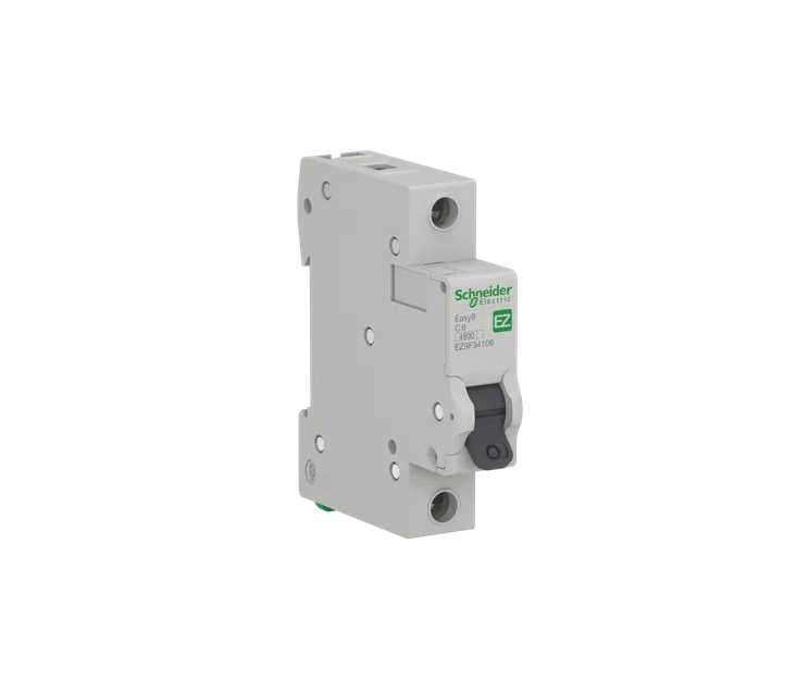 INTERRUPTOR TERMICO 1X6A E9 SCHNEIDER