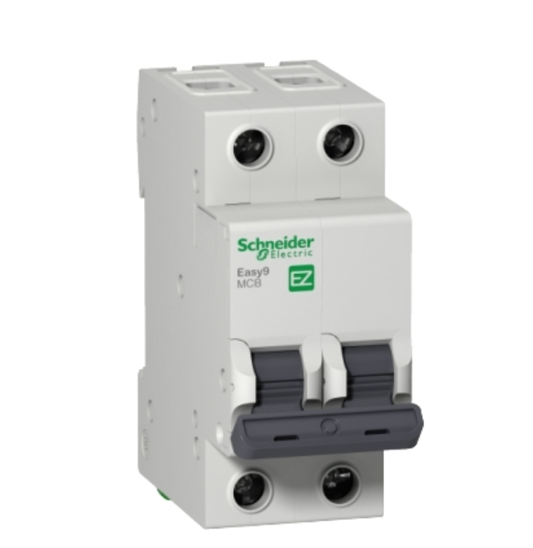 INTERRUPTOR TERMICO 2x10A E9 SCHNEIDER